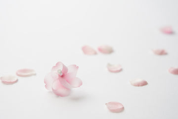 Kaze guruma Sakura cherry blossoms pinwheel Magnet