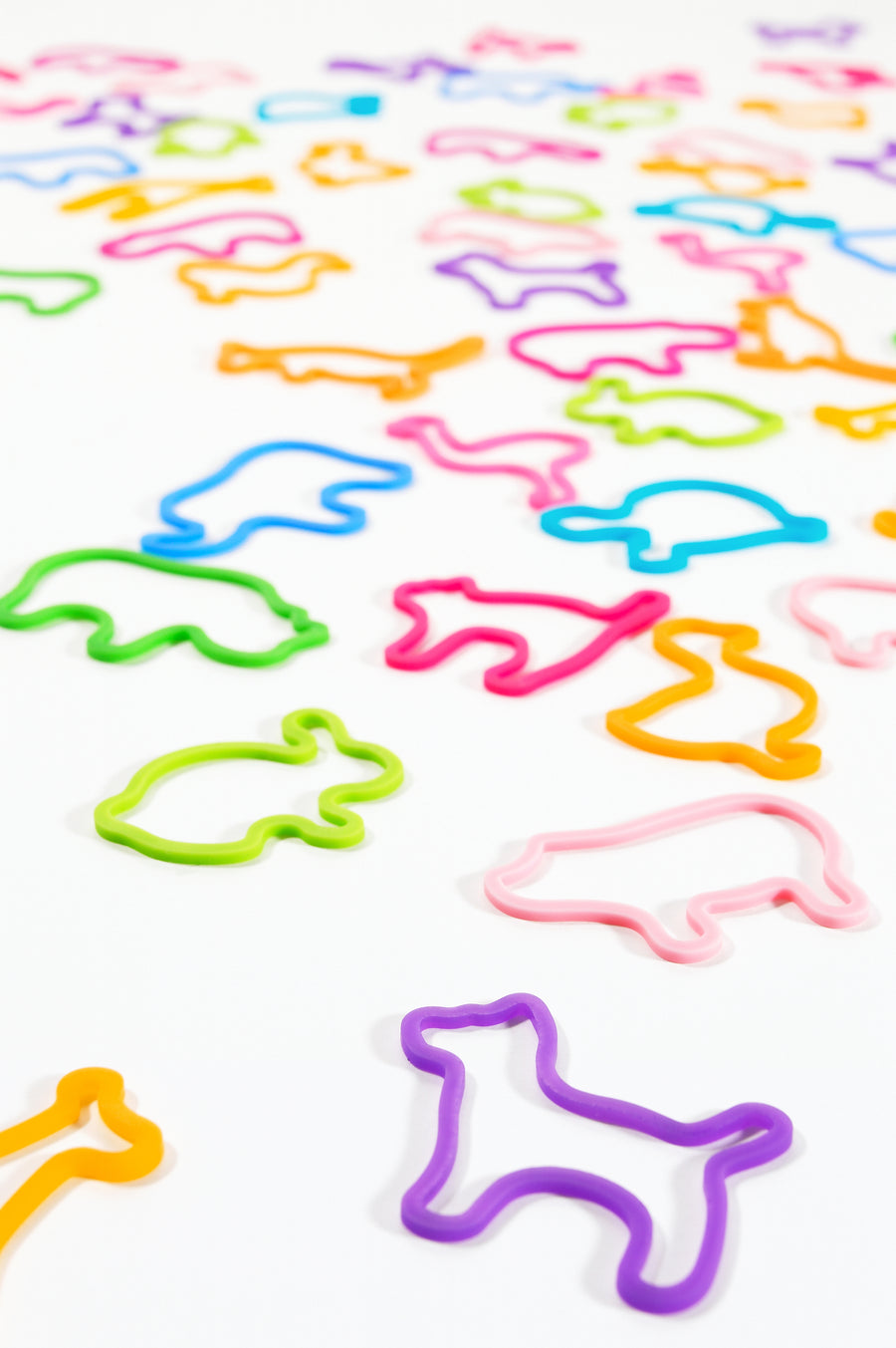 Animal Rubber Band zoo pet dino farm