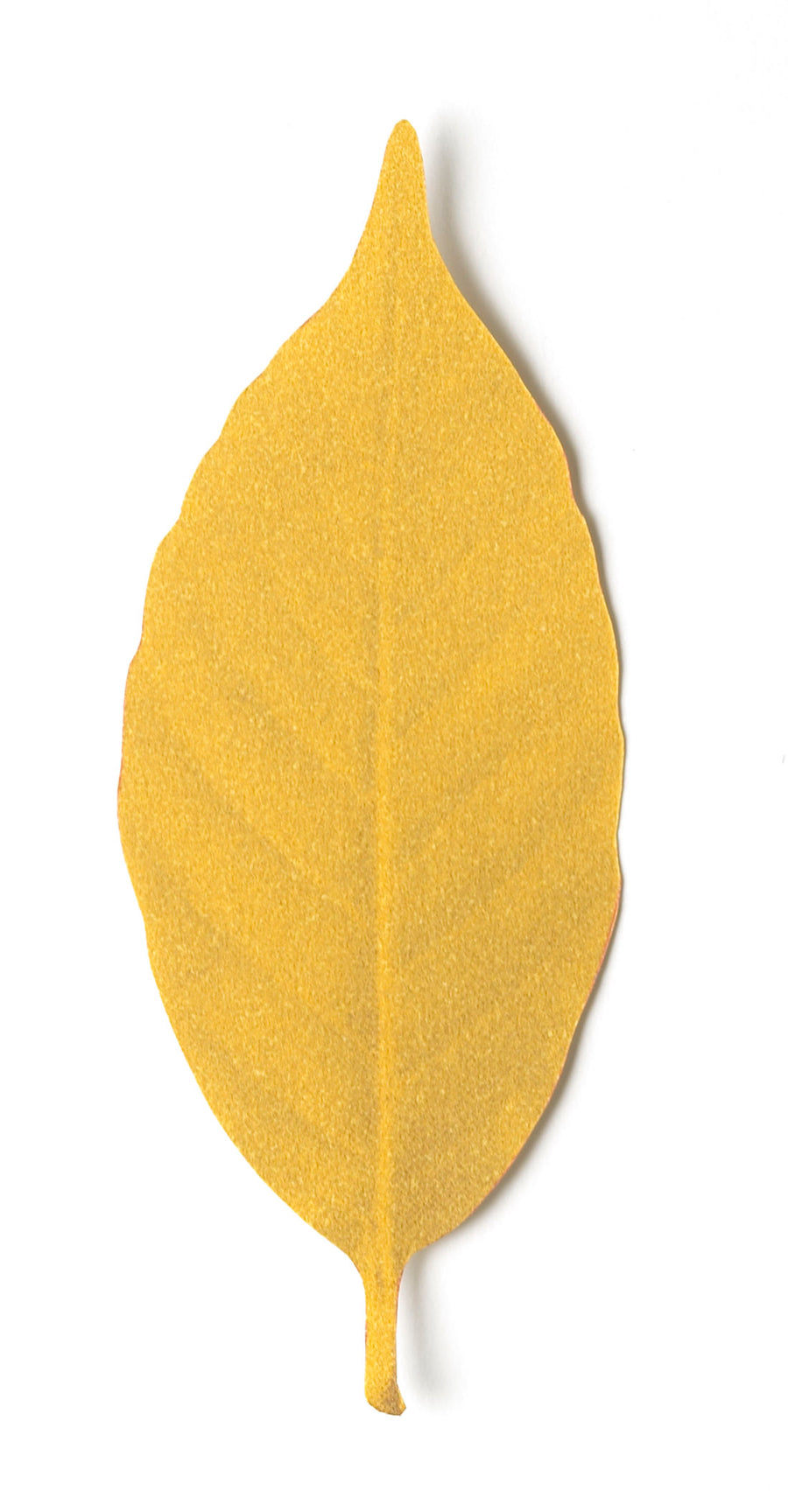 Leaf thermometer