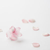 Kaze guruma Sakura cherry blossoms pinwheel Magnet