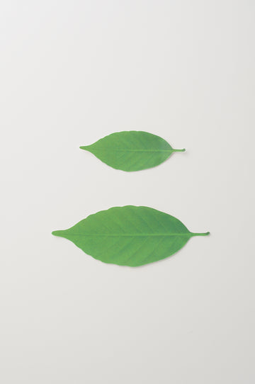 Leaf thermometer